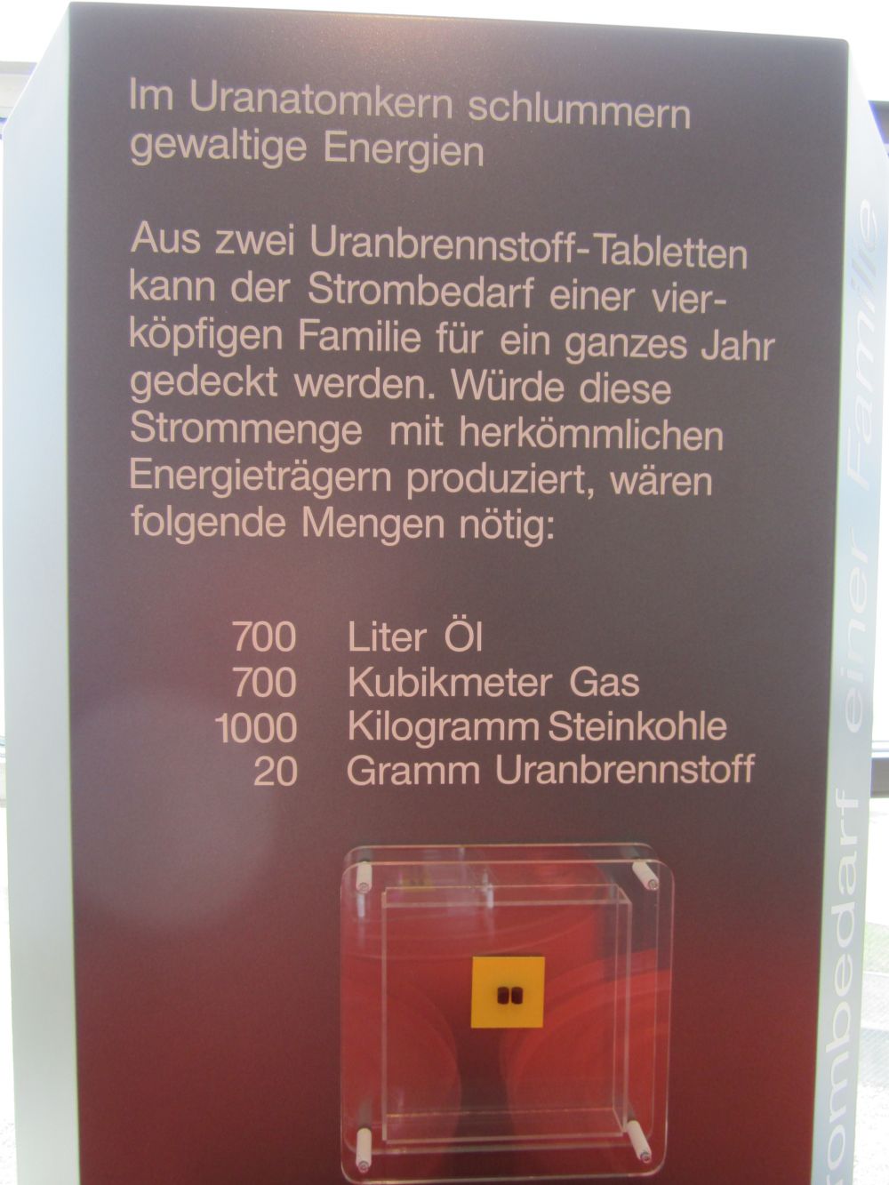 Besuch Kernkraftwerk Leibstadt AG : vom 17. April 2012