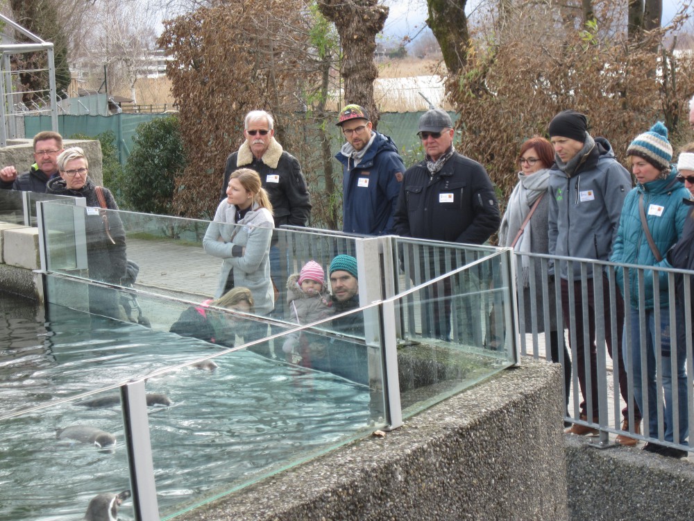 Kundenanlass Knie Kinderzoo in Rapperswil SG : vom 13.03.2019